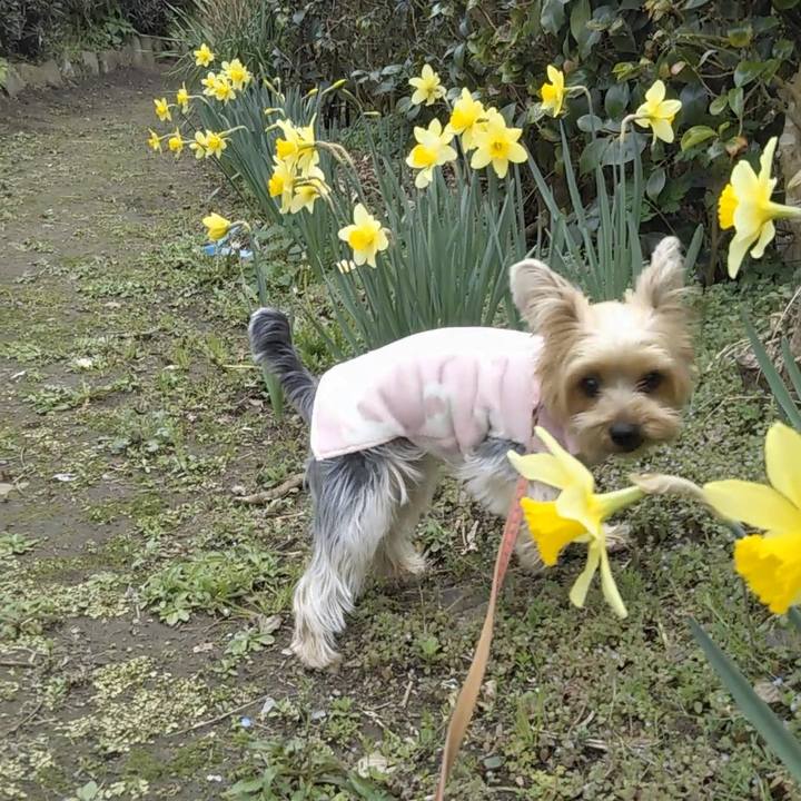 01a89f2f 8eb8 43c3 abba fd1f2898d70c 1584235885749