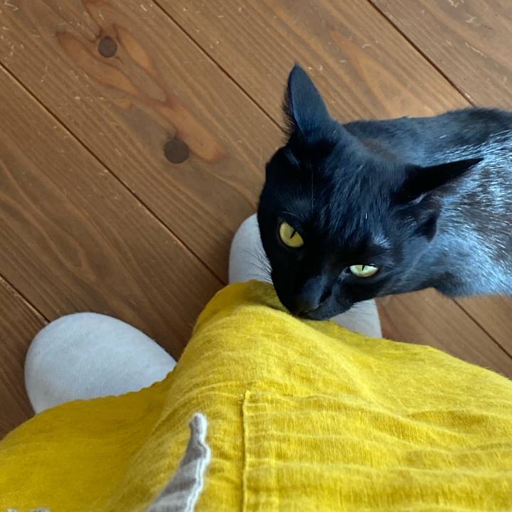 01a8b088 a9d1 49fa 8d3a d3155e16c561 1601340179880