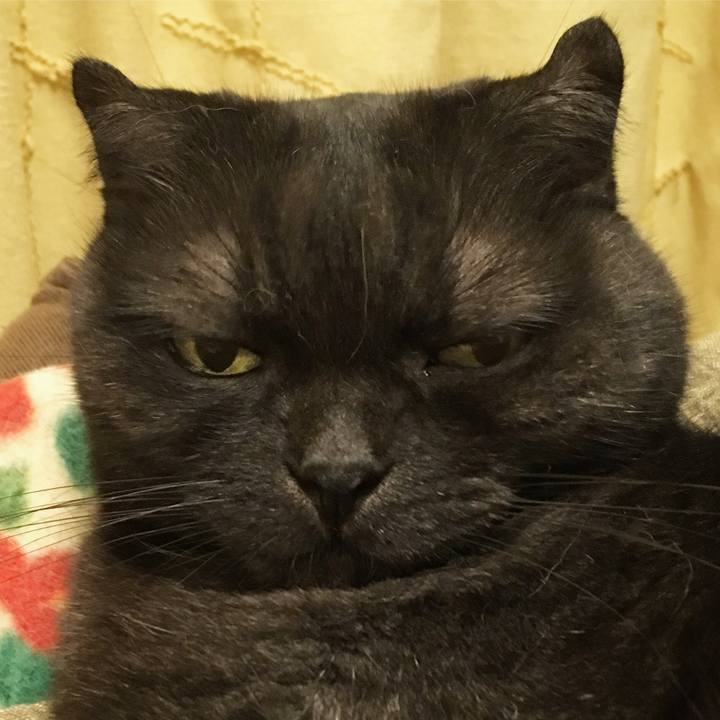 01a8c967 1bd7 4c9d 852c e2845d882784 1536044576839