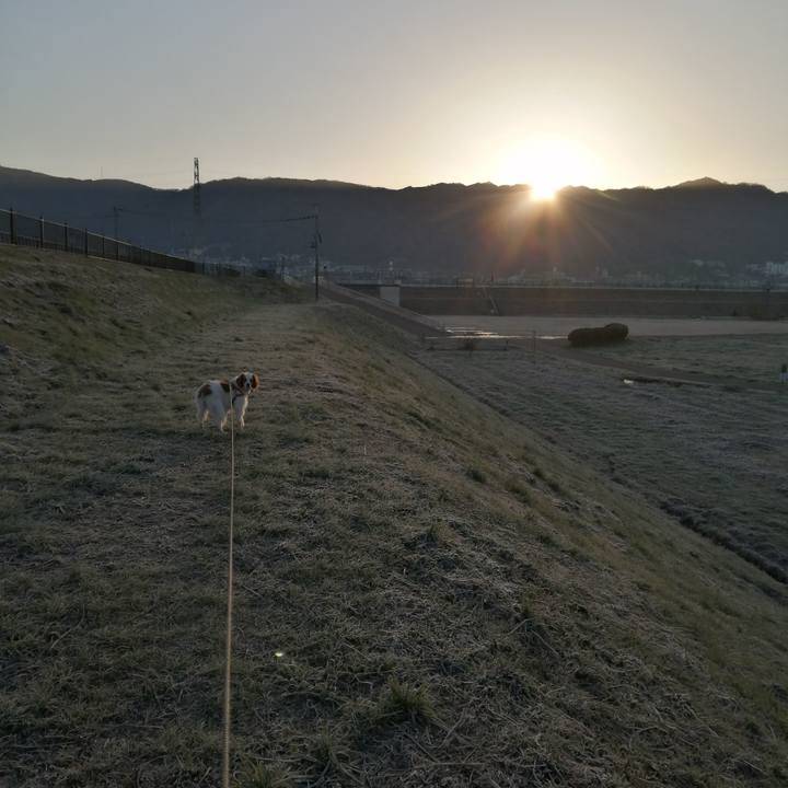 01a8ecba b035 4b9b b990 fb3ab42fb265 1582507146750