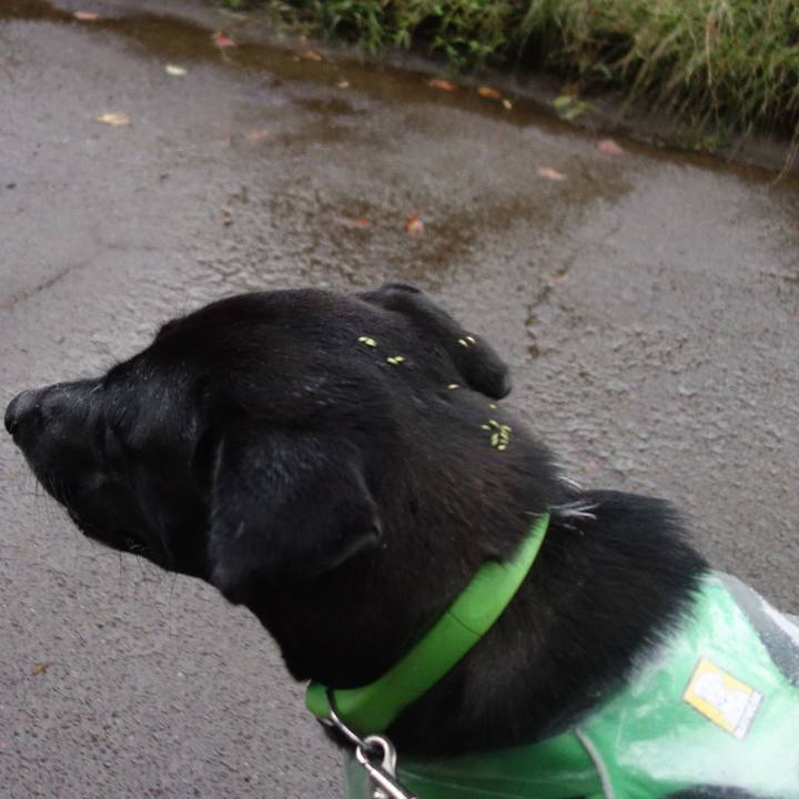 01a8f839 77d2 4f77 a732 4ffd651ffd8c 1602892233064