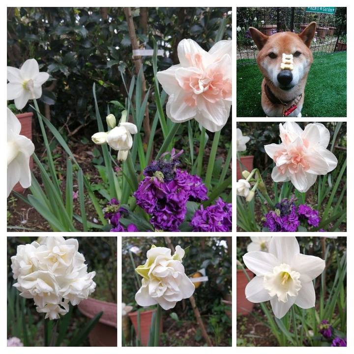 01a91b57 ea4f 47d5 afd6 491611758796 1586677591425