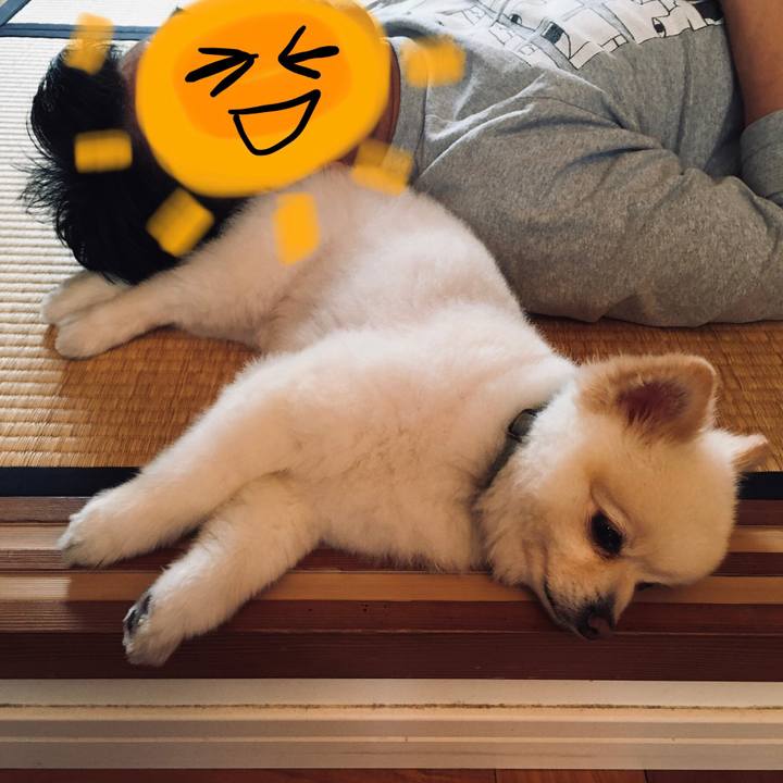 01a93d2f eb45 4ee9 9099 8797205c566e 1590825383288