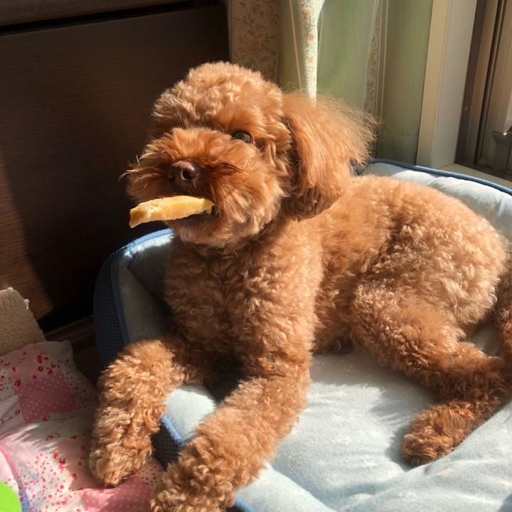 01a94173 8260 4861 a1b1 9d2d99be3aaa 1513050706026