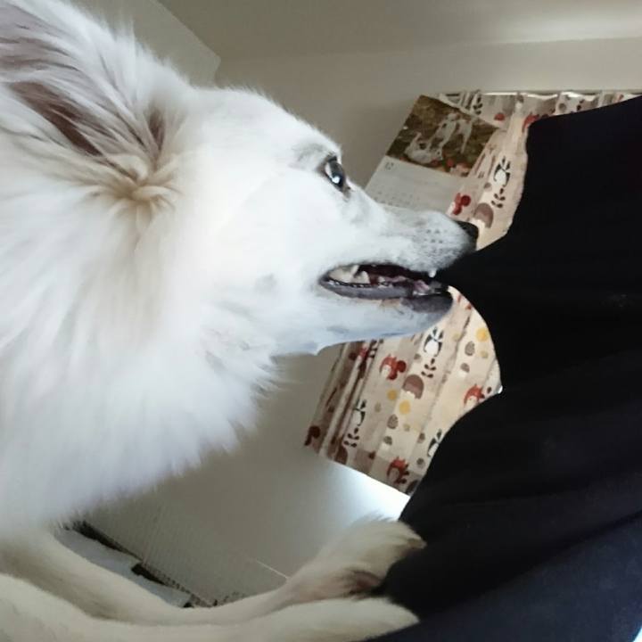 01a98f6f 4d78 495a bbee 4b1f25ebbb8f 1513313968327