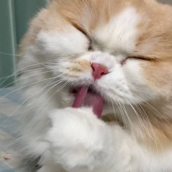 01a99ca6 a196 44cd a976 7d2a4014d77a 1599308632306