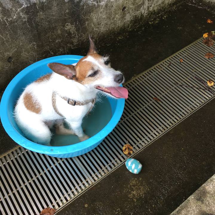 01a9a4b4 86be 4083 97b4 49299007f9d0 1595141340633