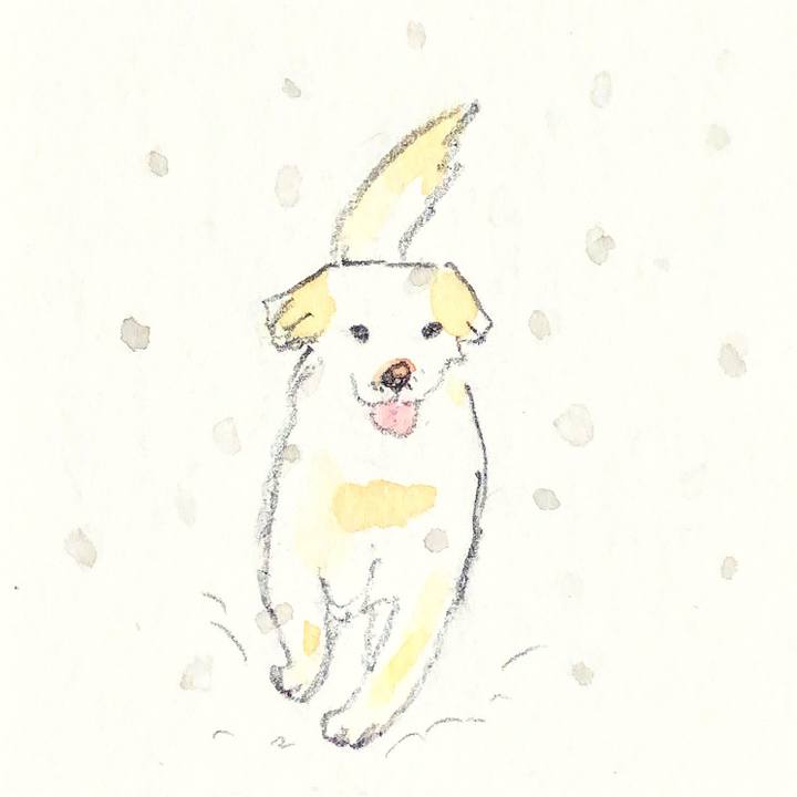 01aa0427 ee7a 45b9 8a4b 389778070c1d 1641462948758