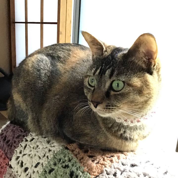 01aa0a88 8b64 4044 a095 f754389fa0da 1651483267877