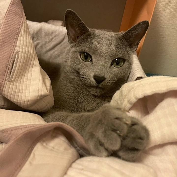 01aa0b89 7296 4c28 8eac 9a8b226b6692 1740656880346