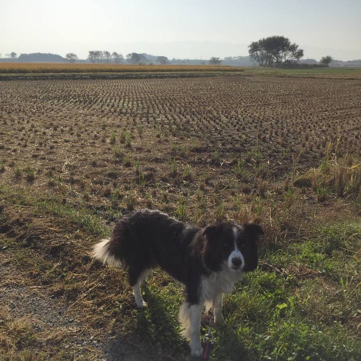 01aa2503 5cf4 4251 b651 c10b74de3a15 1572653727442