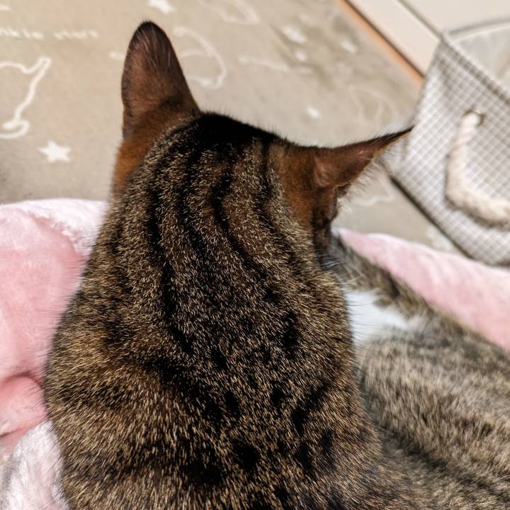 01aa38a7 ecd5 485d 94bc c95c7f8caff5 1703586209611