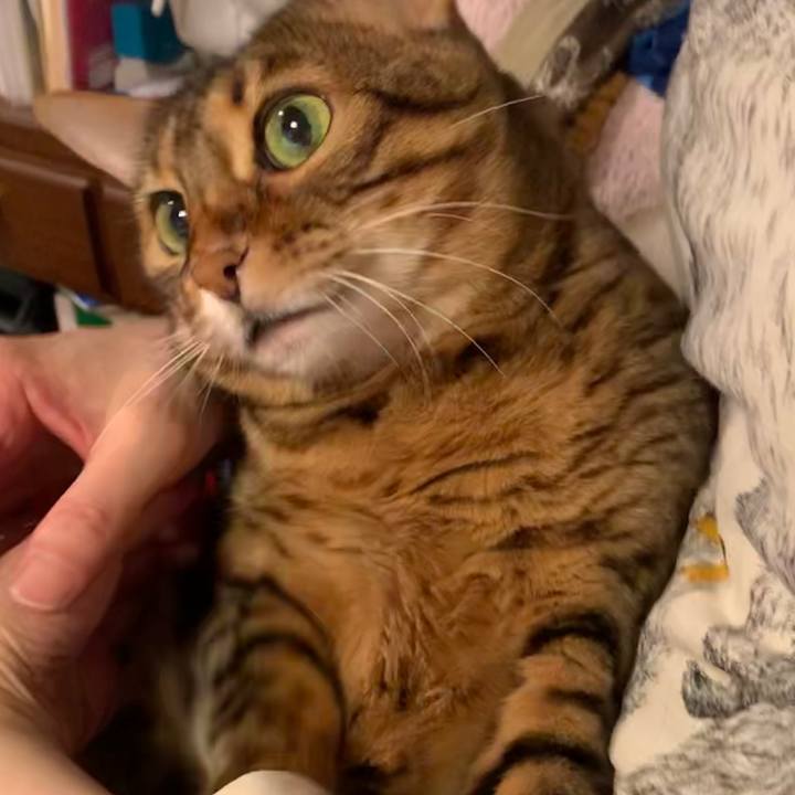 01aa4955 3012 4772 b69f d17fd1267ab6 1602630356099