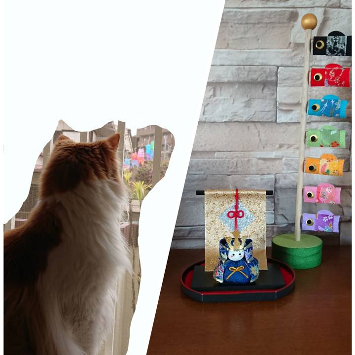 01aa4abc 972f 48f6 ab95 ab147b4b7928 1556937286575