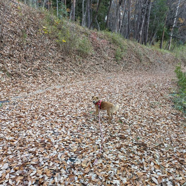 01aa521e 030a 45ce 9d56 e04f14d64f8e 1669209284919