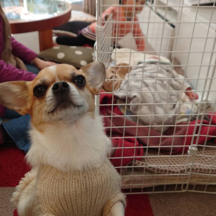 01aa6405 aad9 4c68 ab45 701b2ae14d95 1641205472924