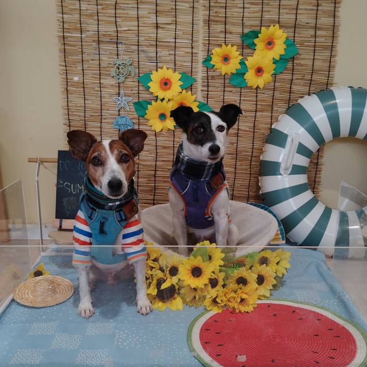 01aa803c f666 4762 8ea4 fb714c81e05f 1754702797973