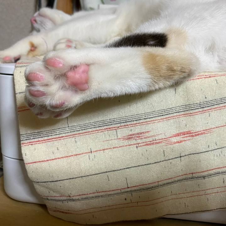 01aacf3e 2859 4750 9626 f2ec65040014 1622584465993