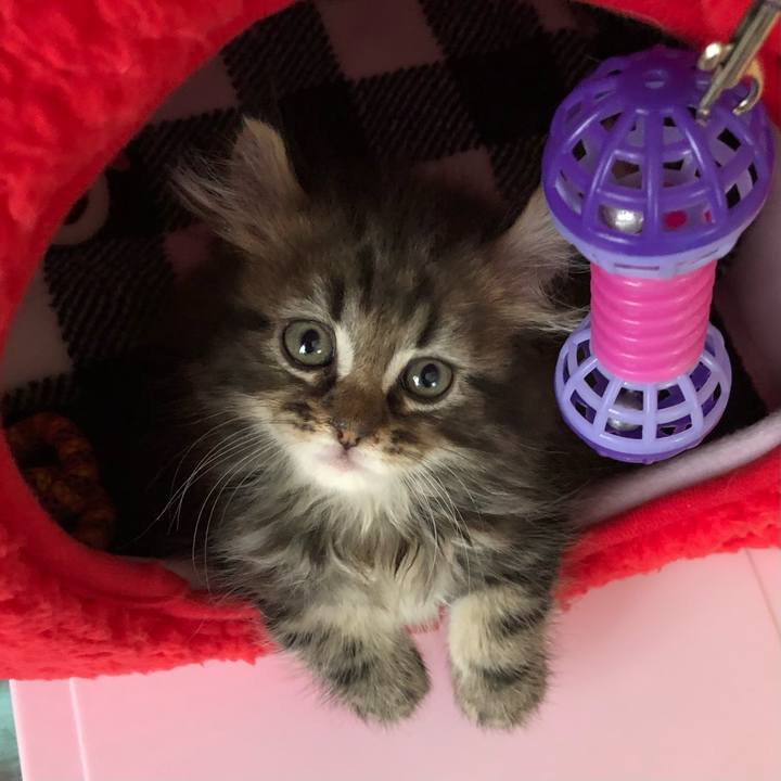 01aae0b2 d26c 4de4 8502 b1a1f104a17d 1736691822055