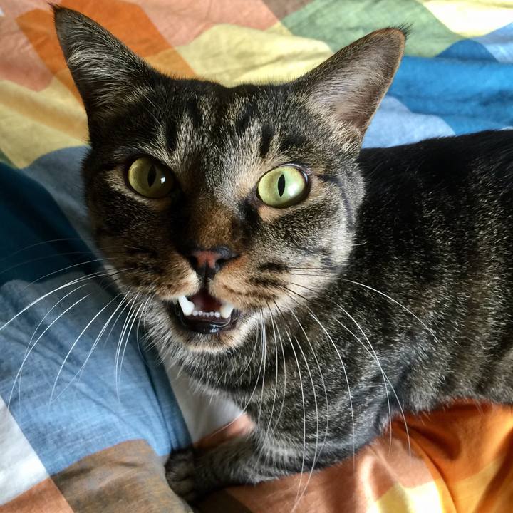 01aae29b 0137 4e78 8737 66243ecff1e4 1585914628393