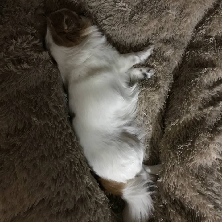 01ab17d9 b849 488c b05b 743358e08c0b 1553267088382