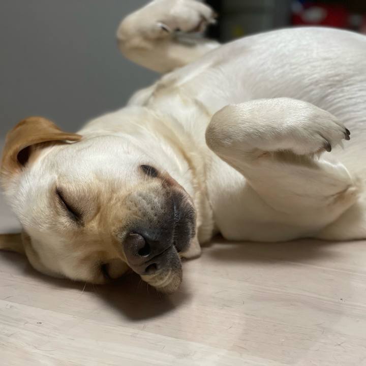 01ab3217 1d98 4f7b 9fa6 f3357c4861d6 1681832281320