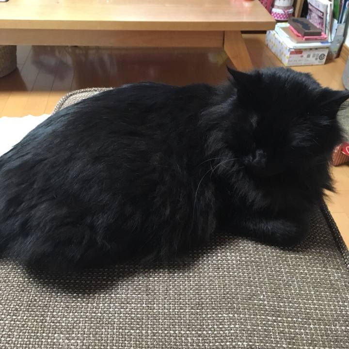 01ab392b fdc8 4712 8f22 4a883cd76536 1546258854399