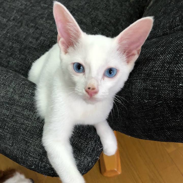 01ab80ce 875a 45e5 a079 eb4140a8b280 1535798090075