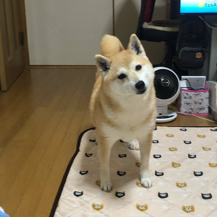 01ab9a2a a51e 43cd a264 7083080f357b 1591879545895