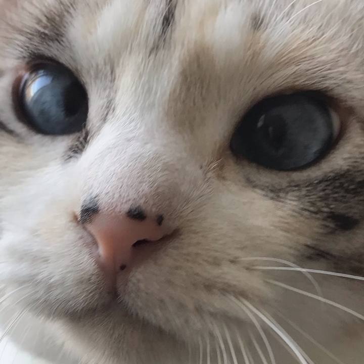 01abbb5f c603 4a1c 80e4 7bbc0beb58d4 1544588523431