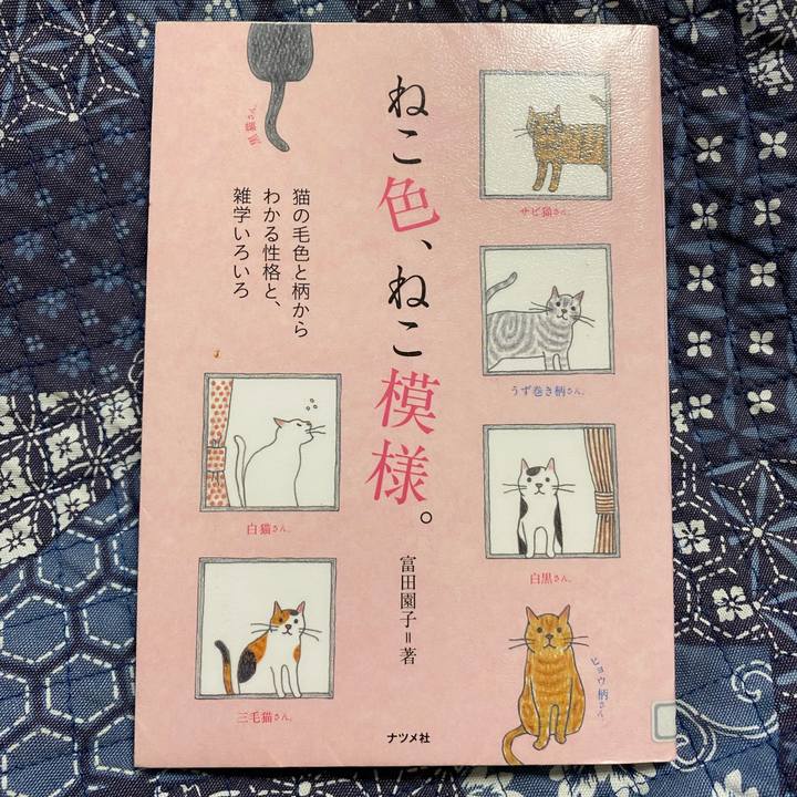 01abd7d3 5d7f 44b6 adc3 03c10e7beffc 1770804488451