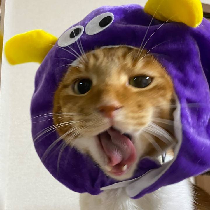 01abdda7 68cb 4774 be8a 912616732b58 1634381148818