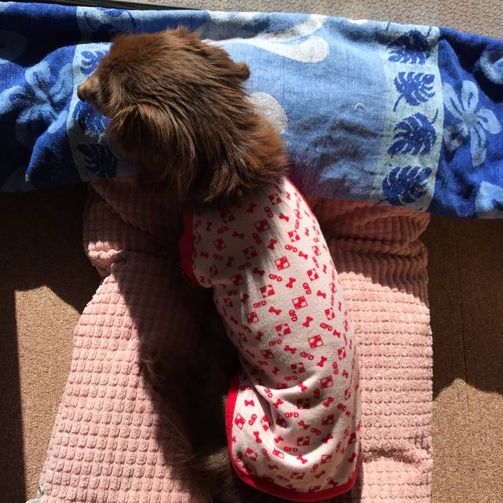 01abfa9b 9f8a 4039 b84e abf423469618 1578621758055