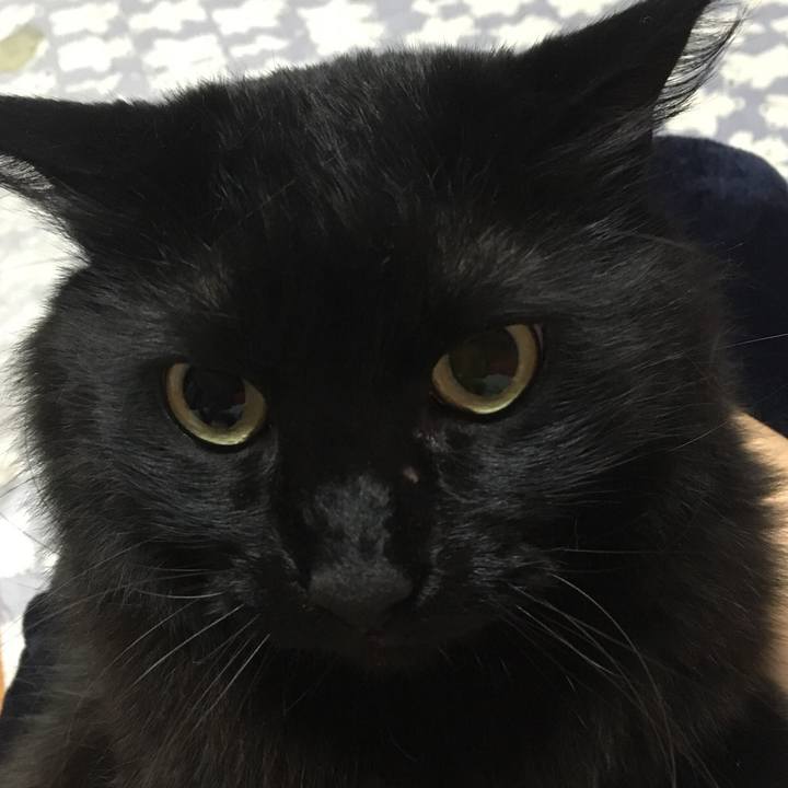 01abfac7 2bc4 4308 89d3 113083e7dc20 1519055255377