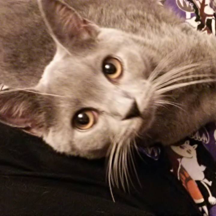 01ac1a55 2ab4 407c aac7 5a1d90ac177a 1537736322392