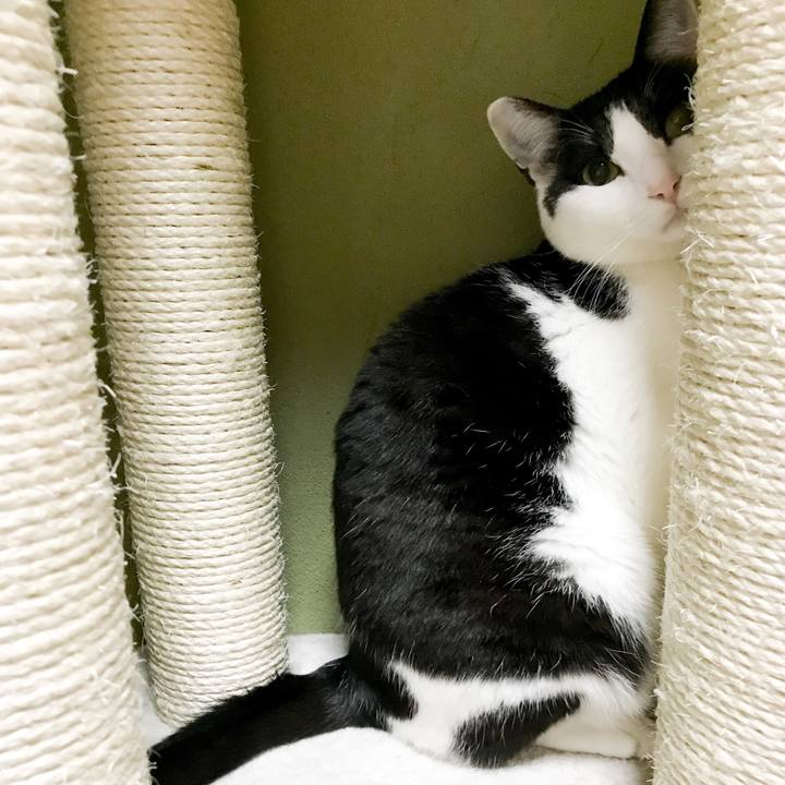 01ac7cc5 626b 472a 9e58 6111c94dd0eb 1523889000472