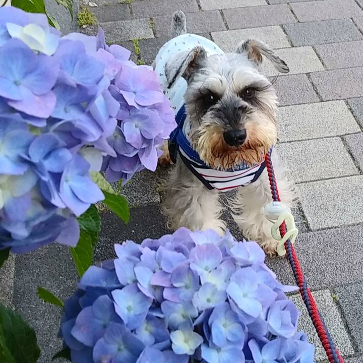 01ac8322 4dd5 4af1 9755 a1c52767fd81 1621981724945