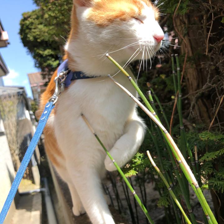 01ac8703 4992 419f 884c 502d851c9b26 1554596483513