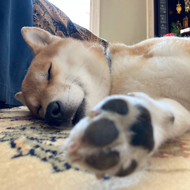 01ac8ec8 f6f9 44a9 bd11 3734162e0d71 1675742435359