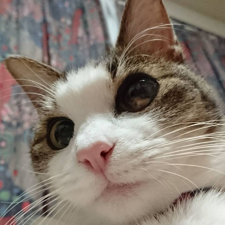 01aca43a 0e6a 4740 aab8 d0fb74526024 1542714754978