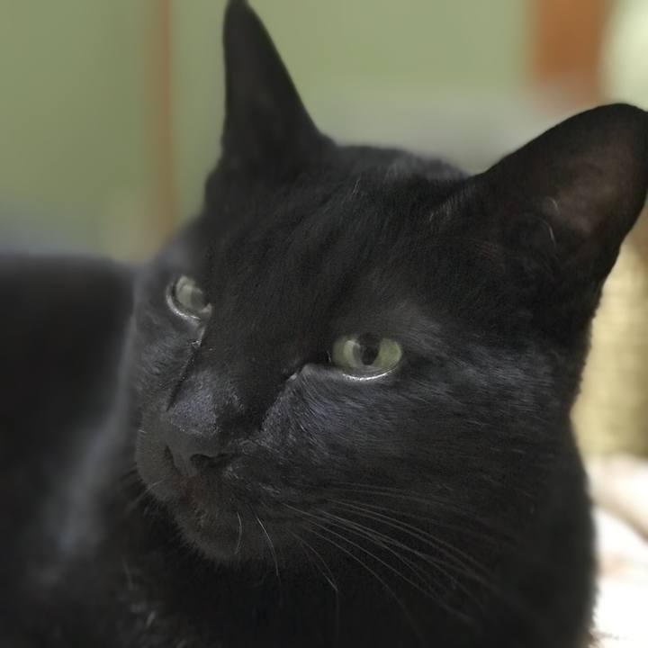 01acec8b 77c2 4261 9f16 e6c1e5c0e4a7 1515374042694