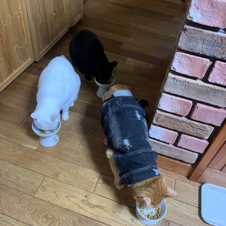 01ad000d 2669 4aa8 ac5f 51eef3764914 1643202483165