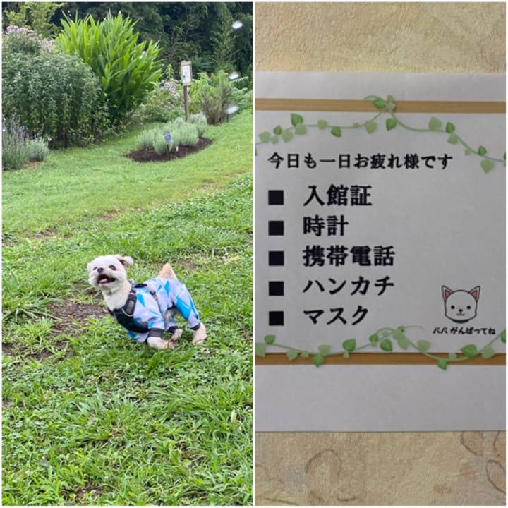 01ad5823 0d49 48f5 b713 e473ebbf43a9 1594119996345