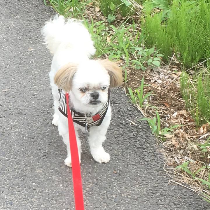 01ad59db 6a4c 43ce bb65 6ffaa2fcd5be 1527680629000