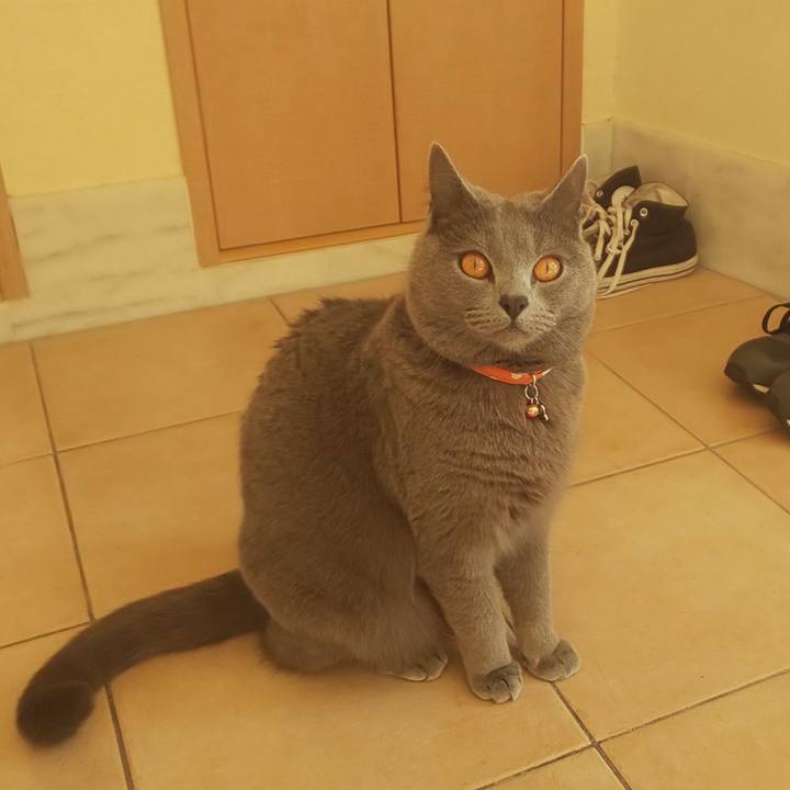 01ad5a5f 59c0 4a13 a00e b9518a980644 1552452995576