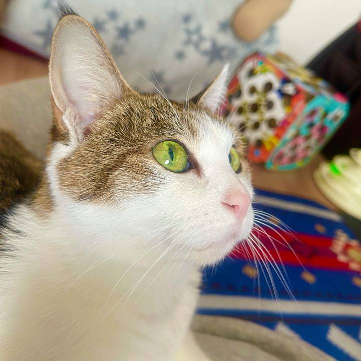 01ad76b7 f240 44a0 84f5 b44c5120bf65 1636938412013