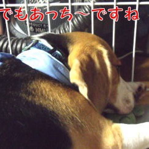 01ad7af4 f37d 460e 855d a6a69c5412cd 1692142962532