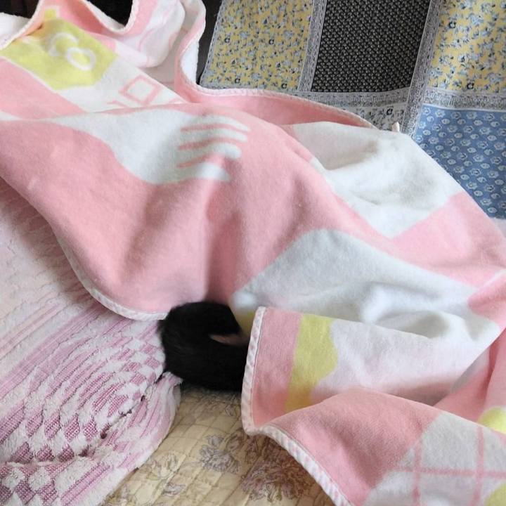 01ad8689 36d6 4c69 a9cf b0413db9cb15 1726880643289