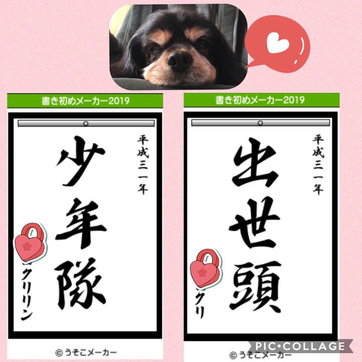 01ad899c f1e9 481e a28f 46427cef1639 1546509237286