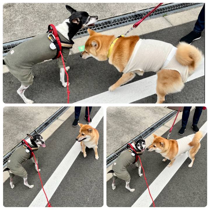 01adadfd c5f4 4f45 85a4 ad95672f28e8 1655763430871